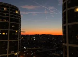 SKY PARK Above the City