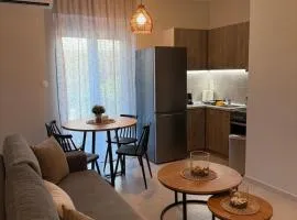 Kyveli Apartment