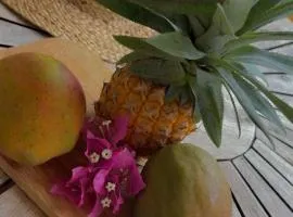 Ti’Bou des Îles de Guadeloupe