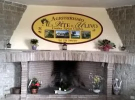 Agriturismo La Vite e L'Ulivo