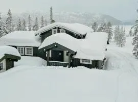 Fjellhytte Med Utsikt Over Bonsenås