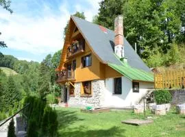 Family Chalet in Giant Mountains