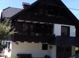 Apartment Cvetek Janez