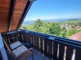 Gemütliche Wohnung im schönen Schwarzwald