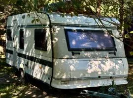 Arion Camp - будиночки в кінному клубі