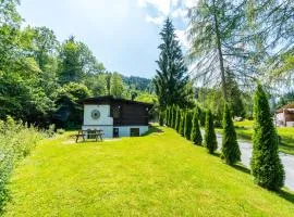 Chalet in Wörgl near Ski Bus Stop