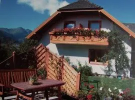 Apartment in Lungau near Ski Bus and Forest