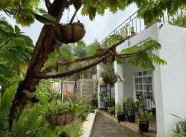 Roselune Home