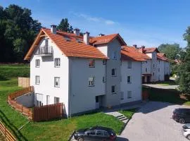 Apartament Śznieszka Kowary