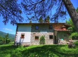 Farmhouse with pool,Ortignano