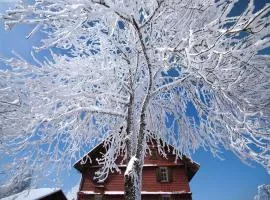 Nature Escape in Kander Valley