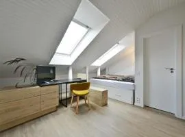 Domillion 2bdr 2bath on Vokieciu w parking V1020A