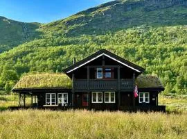 Indoor hot tub, views & nature, cosy family cabin at Filefjell