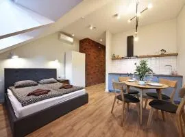 Domillion New modern Vilnius old town studio U2303