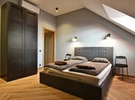 Domillion 1bdr New old town apt U2305