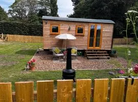 Hut in the hall