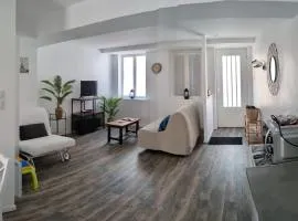 Maison de ville, local à vélo, cour, bord de Saône