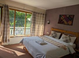 White Apricot Lodge, hotel with parking in Baltit
