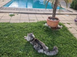 Alps and Lakeview Villa with Pool, hotel com estacionamento em Haut-Vully