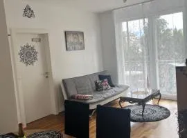 Sunny City-Mountain-Lake Getaway