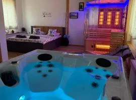 Wellness soba Skriti raj Banovci