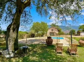 Spoleto Biofarm-Sleeps 8 guests-Salt water pool-Beautiful-Exclusively yours-WIFI