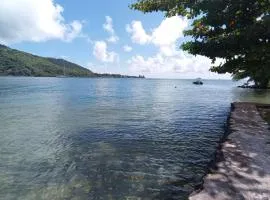 FaraTea Bay house