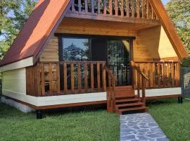 Cozy Cottage B