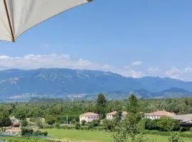 Il Re Della Cantina Appartamenti