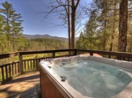 Appalachian Lodge, hotel i Ellijay