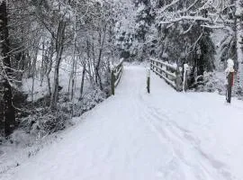 Châtel - appartement 4 personnes