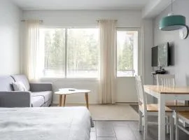 Holiday in Lapland - Ylläs Sivulantie 112