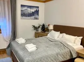 Apartment U150 - Aparthotel Vučko - Private Host