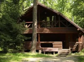 Лісова Казка