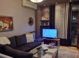 Center Luxury Apartment