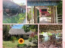 ECOHOTEL LAS FLORES Econativo