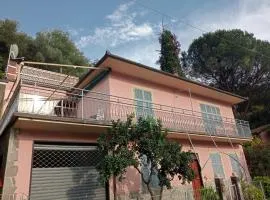 Roses House
