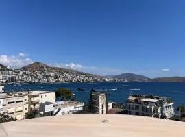 Vila Behar - Penthouse Apartment