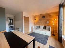 Appartement entièrement rénove aux pieds des pistes, apartment in Aragnouet