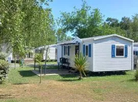 Mobil Home Confortable avec Terrasse - API-1-52-390