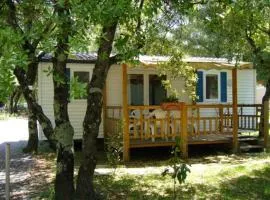 Mobil home 6 pers avec terrasse - API-1-52-222