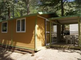 Chalet confortable avec terrasse à Sournia - API-1-52-491