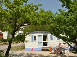 Mobil-home confortable avec terrasse pour 4 personnes - API-1-52-538