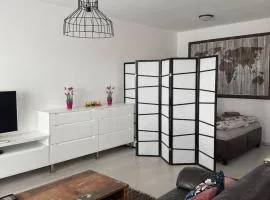 Beautiful apartment in the city center,with full amenities