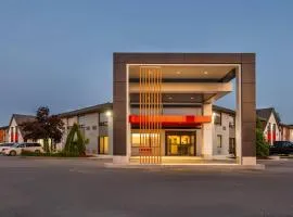 Comfort Inn