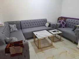 الشقة الفاخرة الحديثة