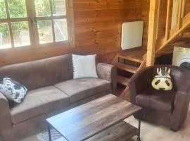 Chalet face au Mont Gozzi