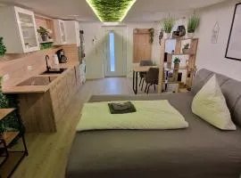 Appartment-Ferienwohnung mit Küche, Bad, WLAN, Klimaanlage, Modern eingerichtet