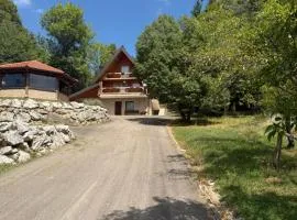 Wolf House