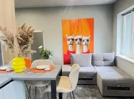 Family apartments N5